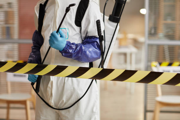 Professional Sewage Cleanup technician working in Naches, WA
